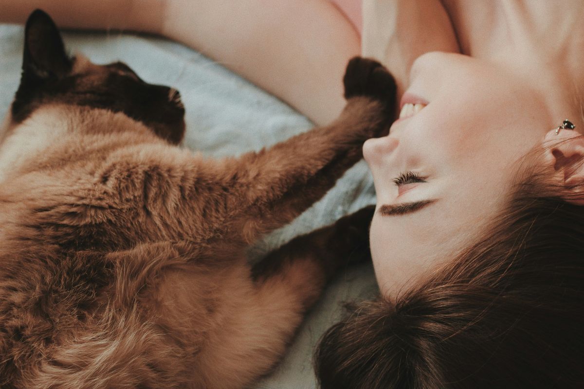 pourquoi mon chat est plus calin que d'habitude