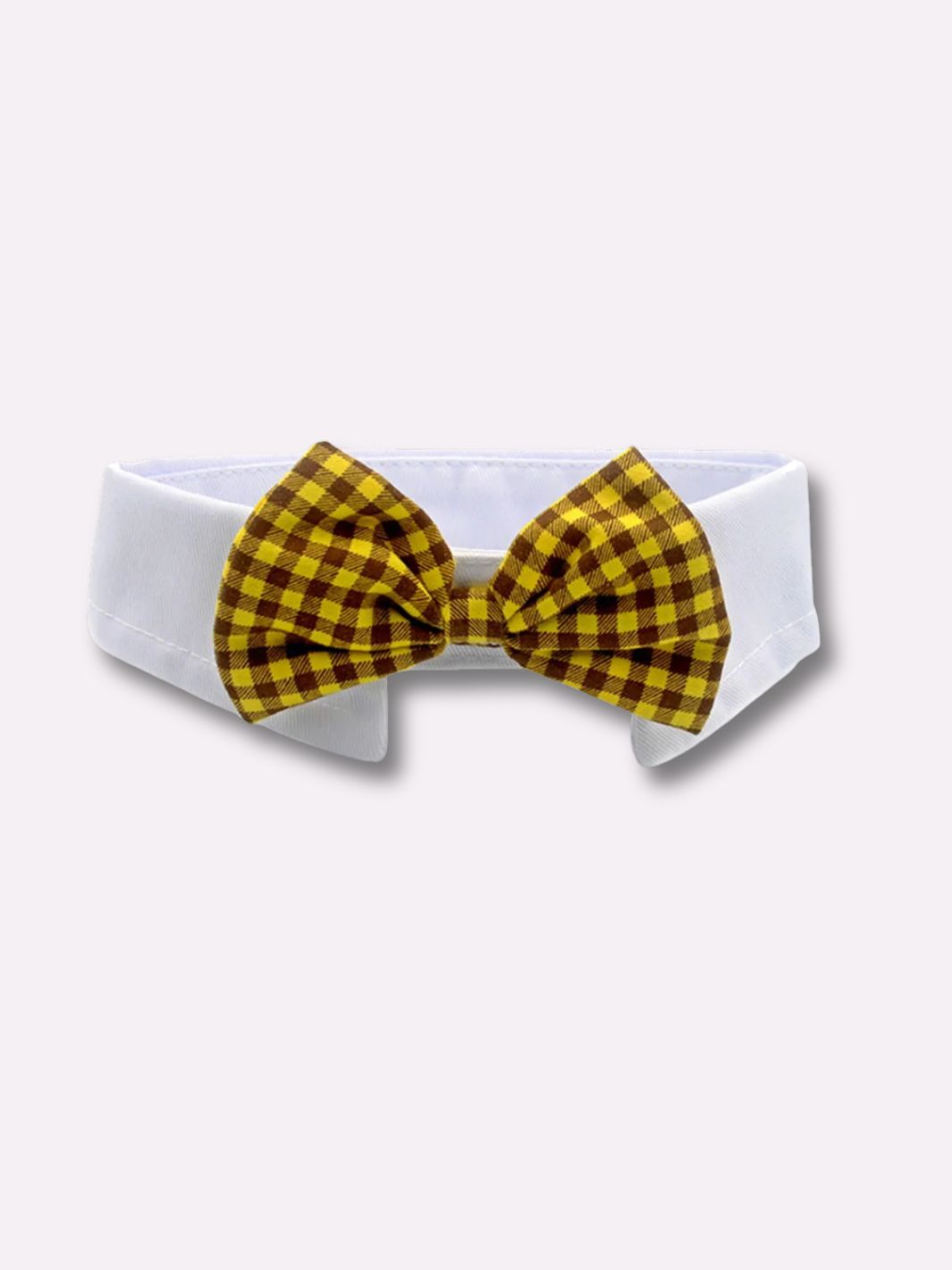 Un noeud papillon pour chien jaunes et marrons à carreaux 