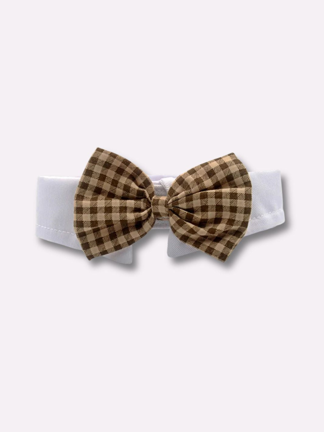 Un collier noeud papillon pour chien à carreaux marrons