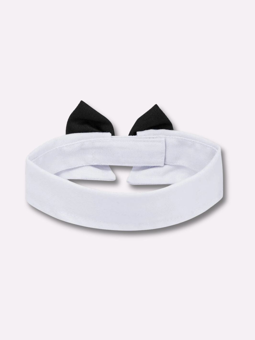 Un noeud papillon pour chat noir avec un col blanc vu de derrière