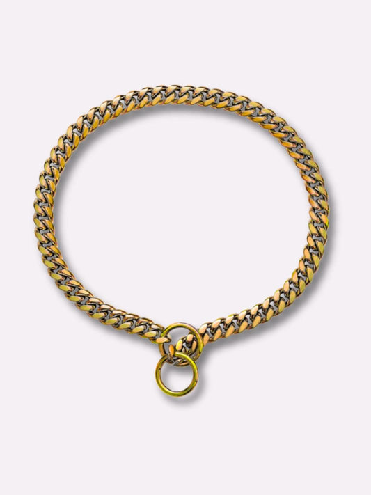 Chaine pour Chien Or / XS : 25 cm