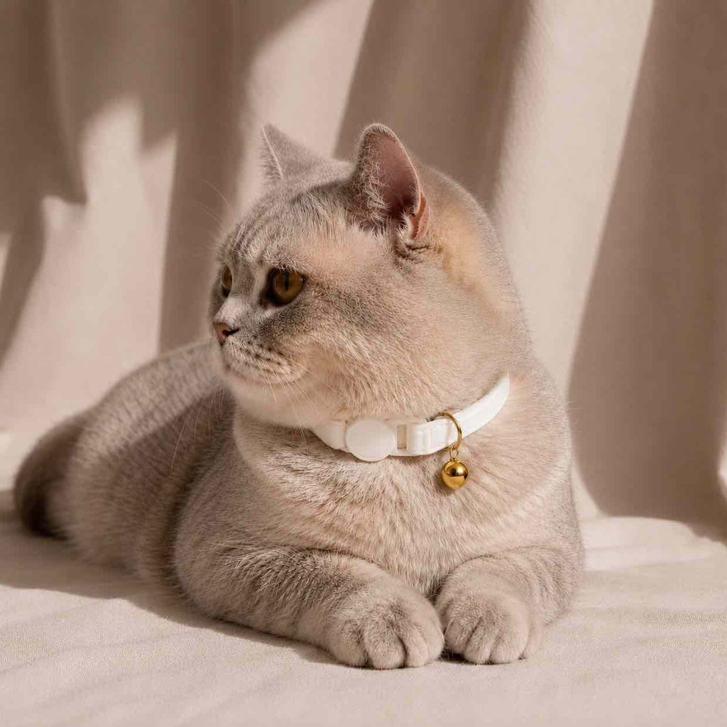 Collier anti-étranglement pour chat - Muzo