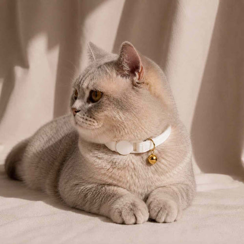 Collier anti-étranglement pour chat - Muzo