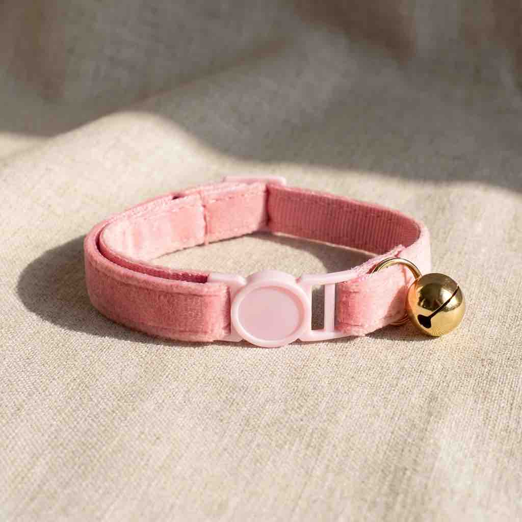 Collier anti - étranglement pour chat - Muzo