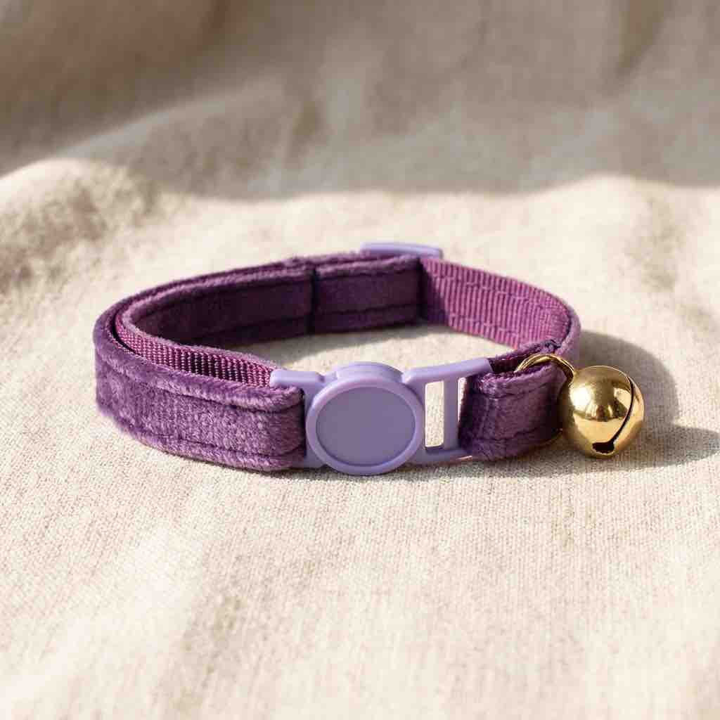 Collier anti - étranglement pour chat - Muzo