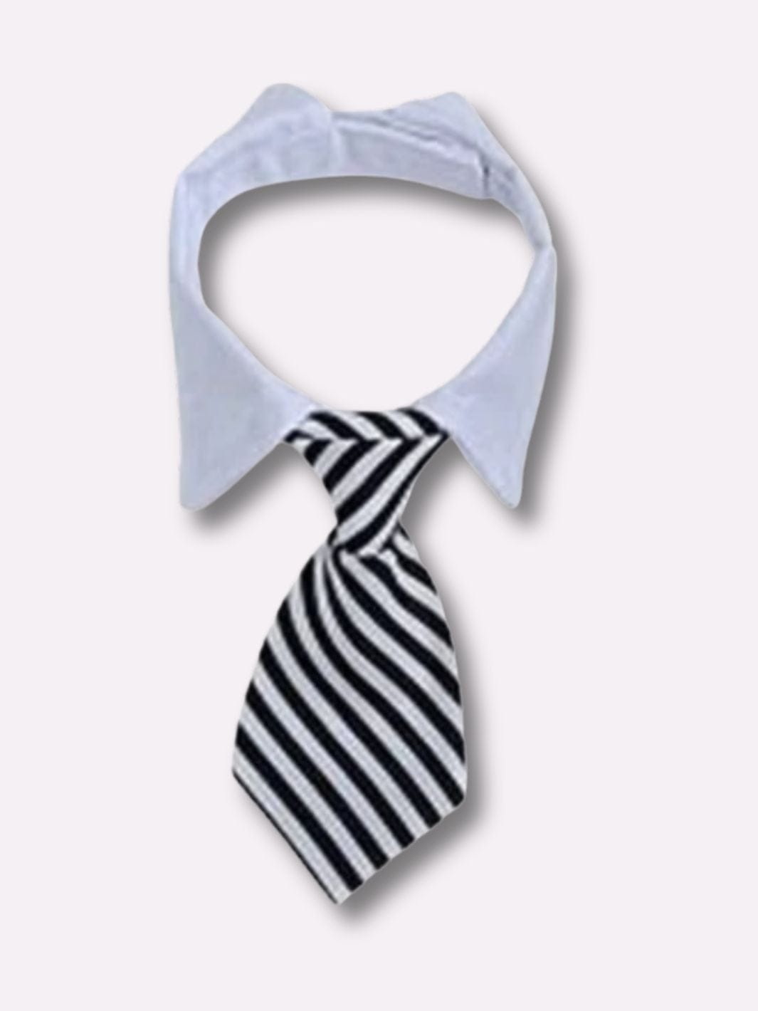 Collier Cravate pour Chat Blanc / S