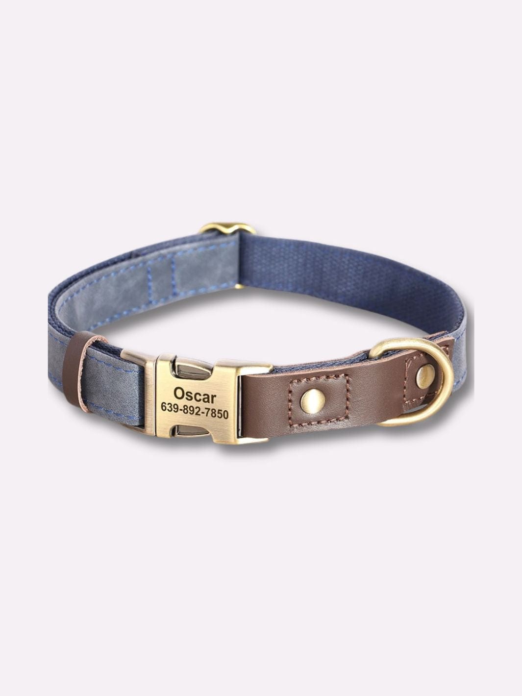 Collier en Cuir pour Chien Personnalisé Bleu / S : tour de cou 25-38 cm