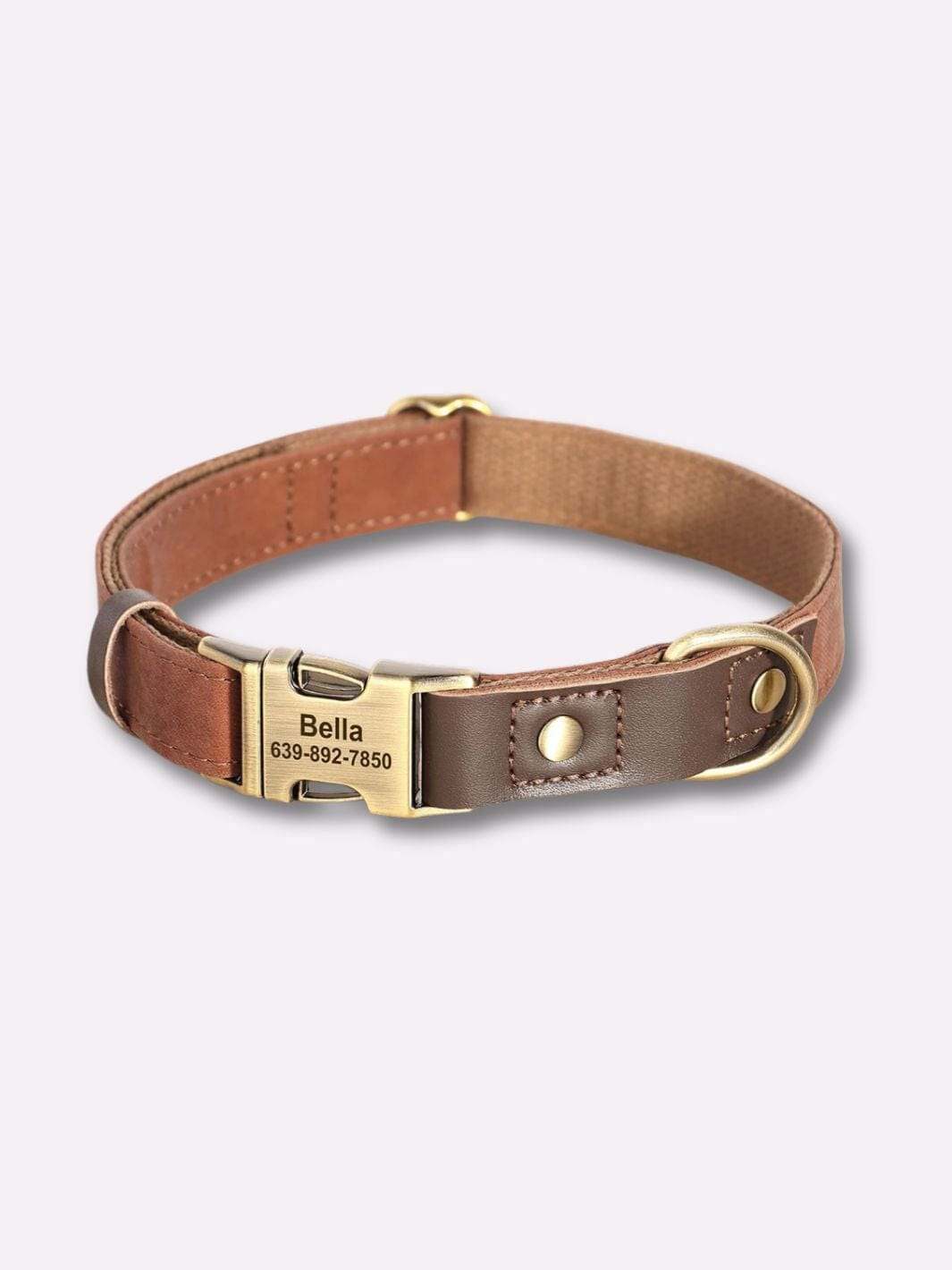 Collier en Cuir pour Chien Personnalisé Marron / S : tour de cou 25-38 cm