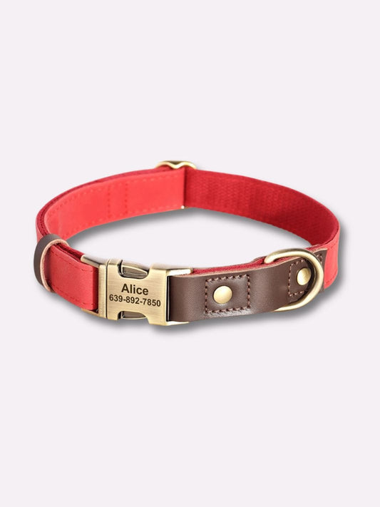 Collier en Cuir pour Chien Personnalisé Rouge / S : tour de cou 25-38 cm
