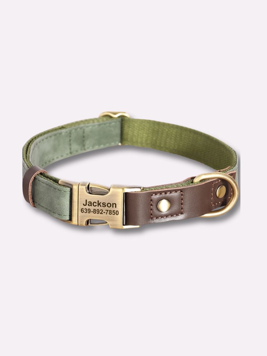 Collier en Cuir pour Chien Personnalisé Vert / S : tour de cou 25-38 cm
