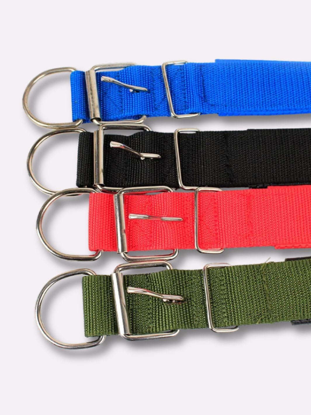 Collier en Nylon pour Chien