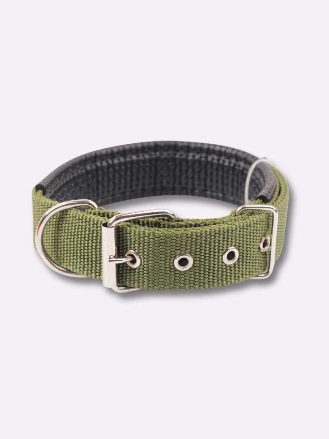 Collier en Nylon pour Chien Vert / S : tour de cou 40 cm