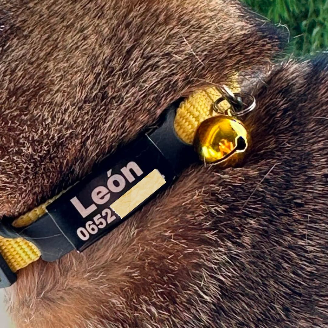 Collier personnalisable anti-étranglement pour chat - Muzo