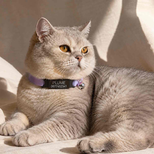 Collier personnalisable anti-étranglement pour chat - Muzo