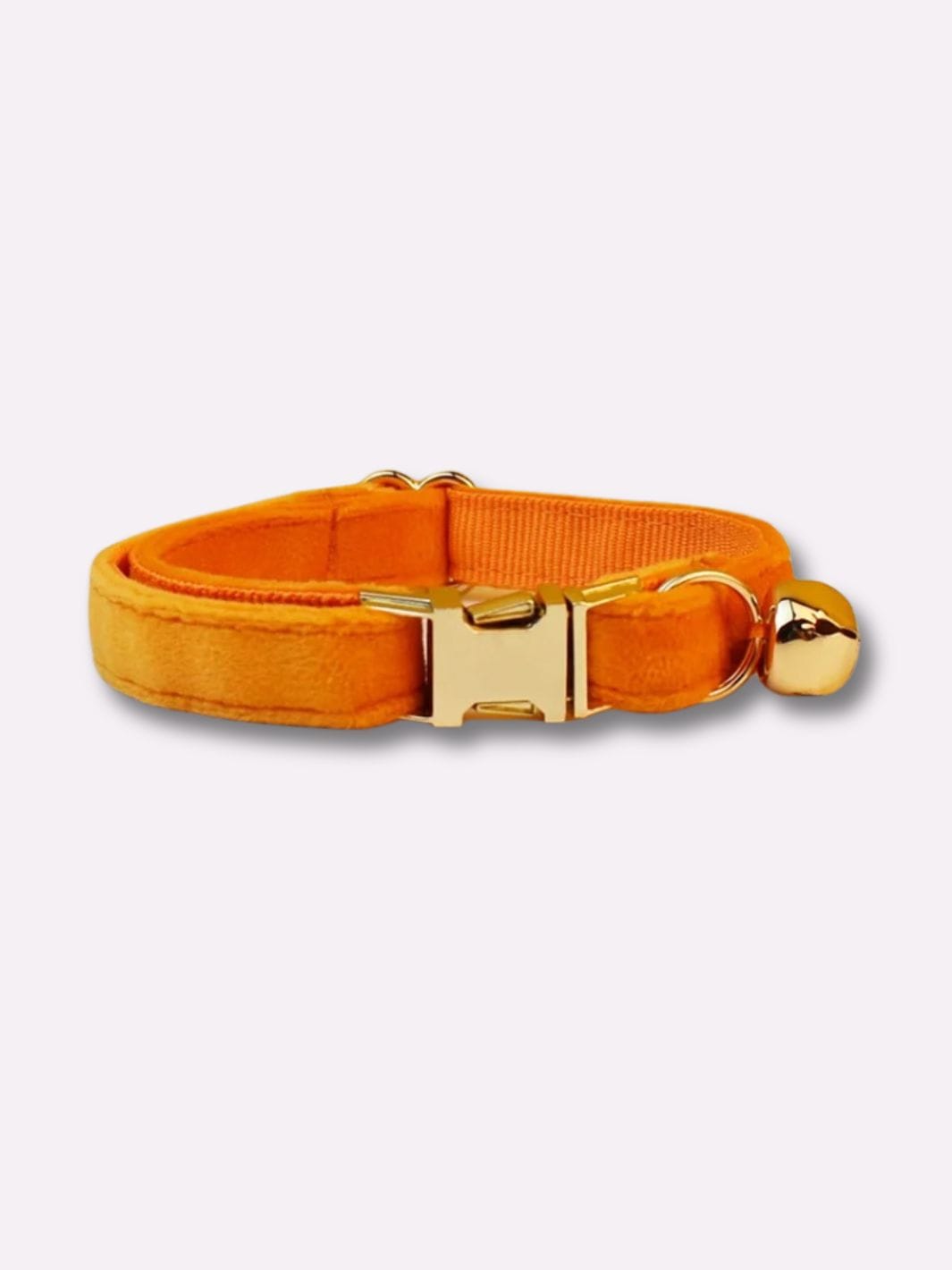 Collier pour Chat avec Clochette Orange / M : tour de cou 20-32cm