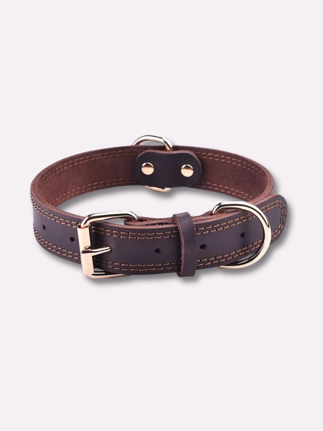 Collier pour Chien en Cuir Marron / S : tour de cou 38-49cm