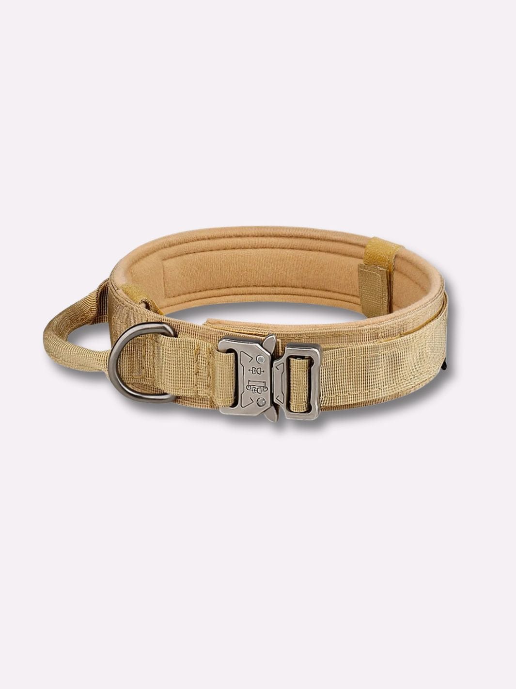 Collier pour Chien Khaki / XL