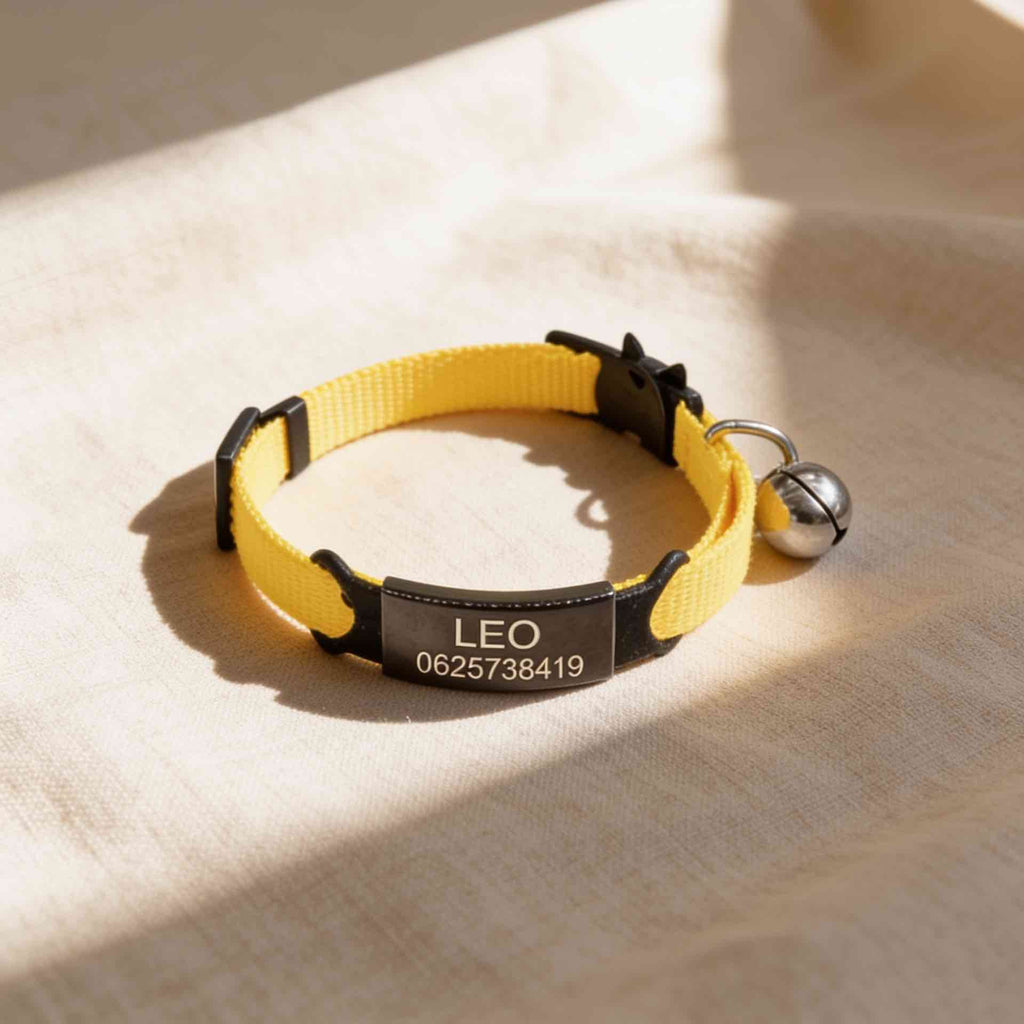 Collier personnalisable anti-étranglement pour chat