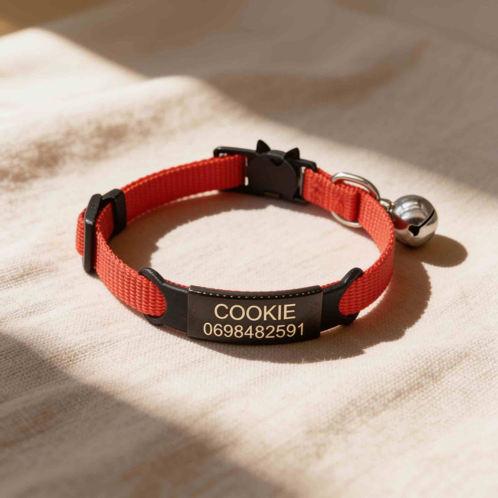 Collier personnalisable anti-étranglement pour chat