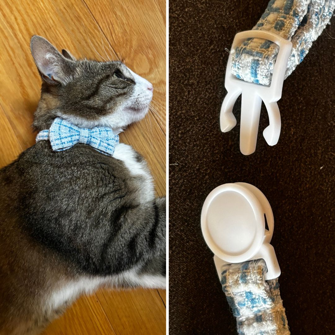 à gauche, un chat avec un noeud papillon bleu, à droite, le fermoir ouvert de ce collier anti-étranglement
