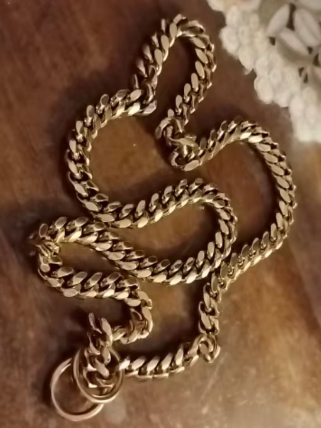 Chaine couleur or pour chien sur une table