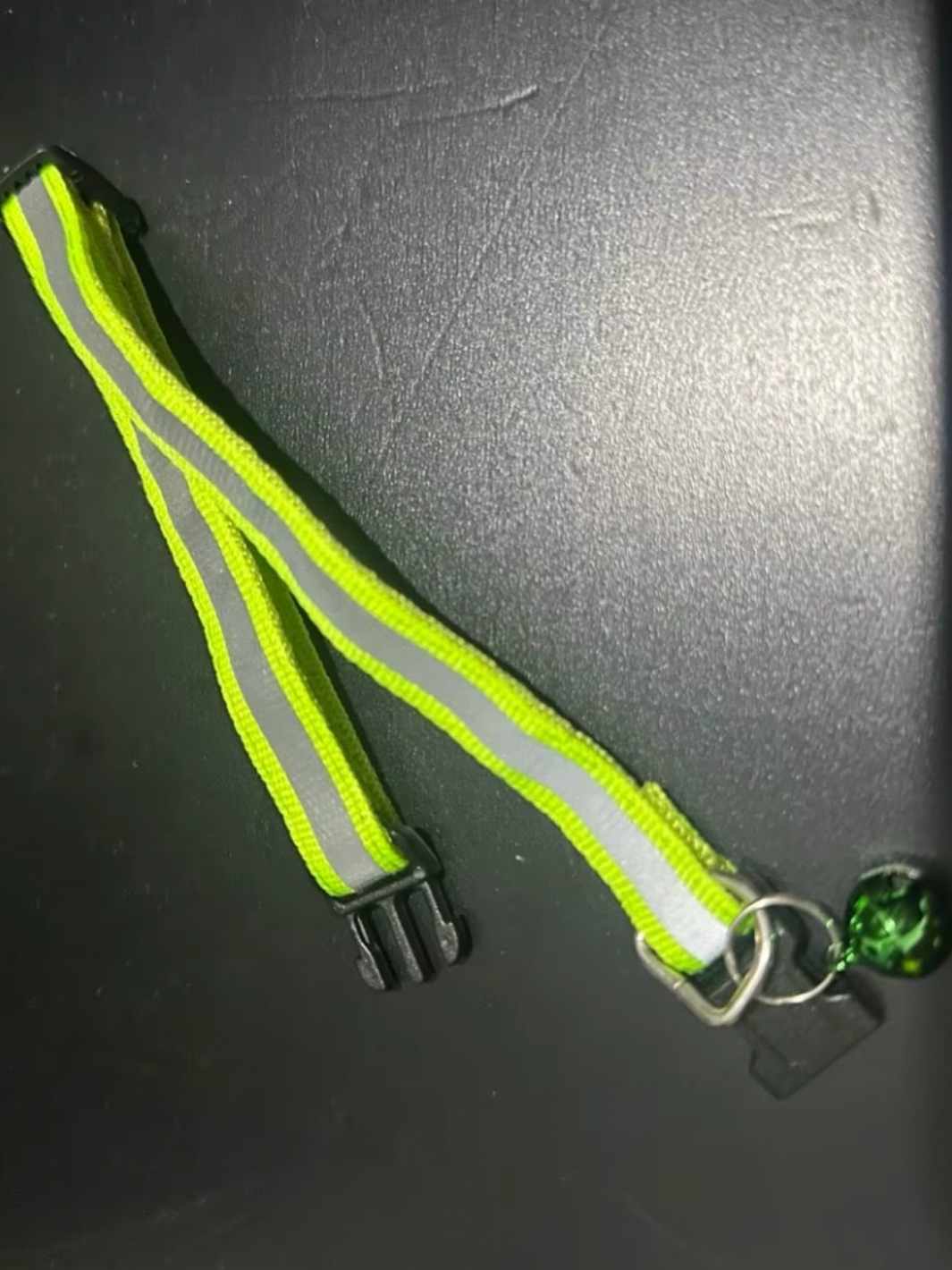 Un collier pour chat vert réfléchissant avec une clochette verte amovible