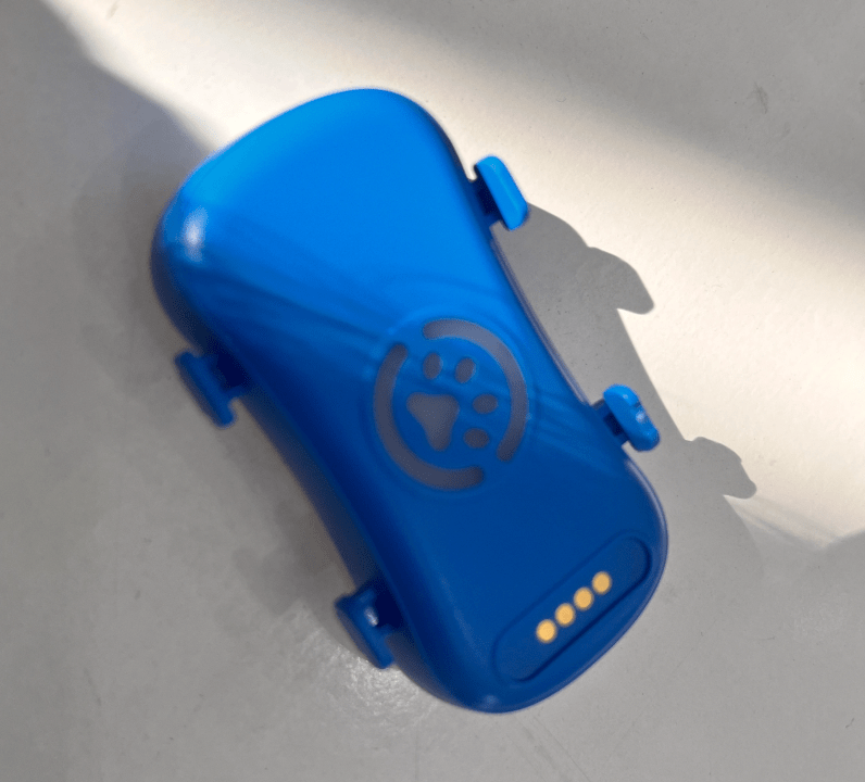 Traceur GPS bleu pour chats et chiens avec une patte de chien dessiné au centre