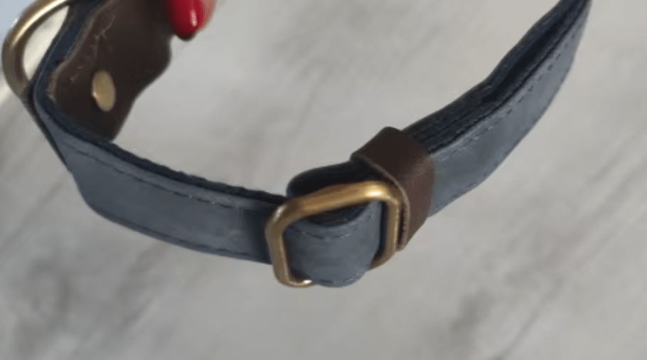 Collier pour chien bleu en simili cuir