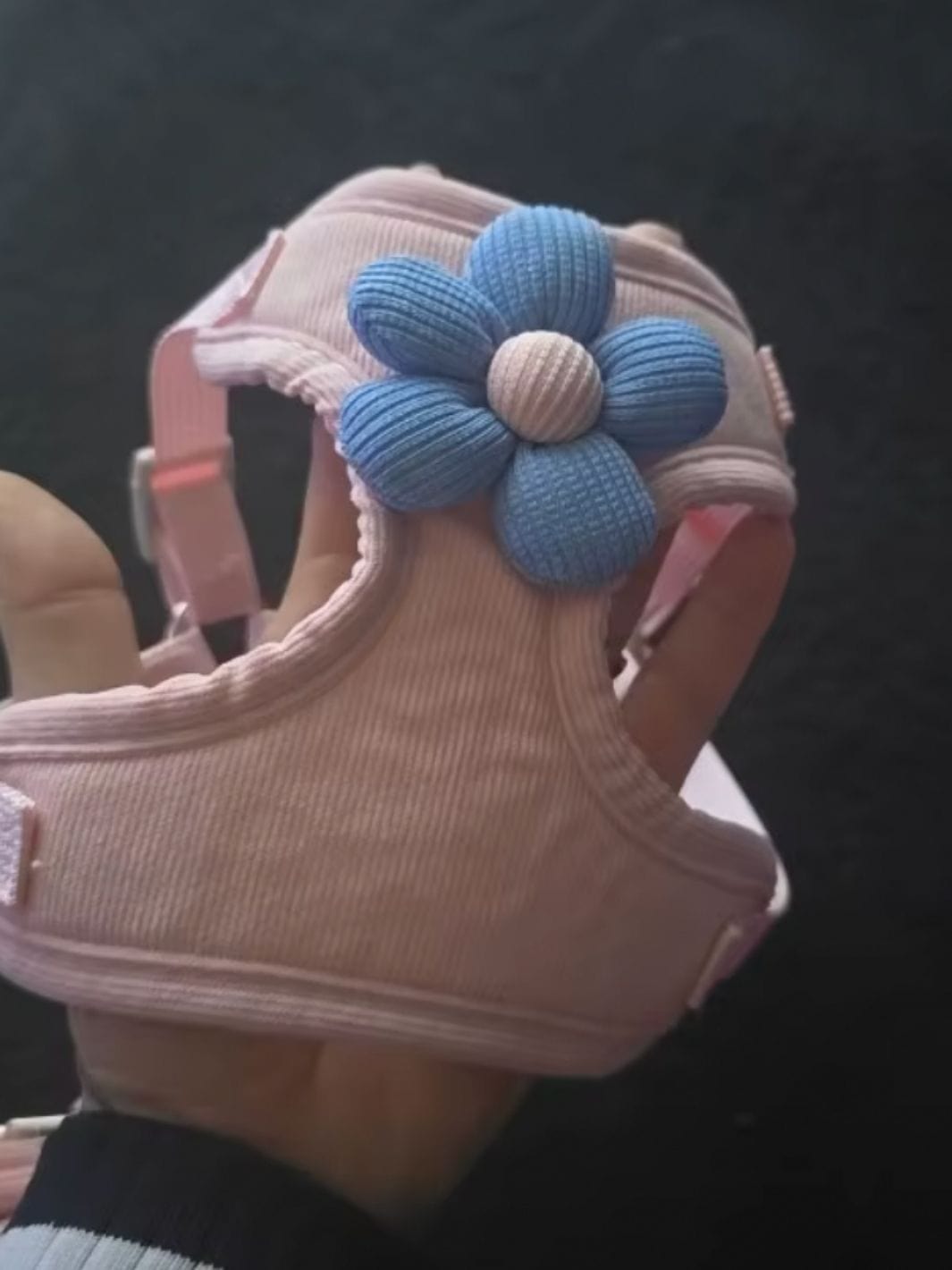 Collier beige pour chat une fleur en décoration