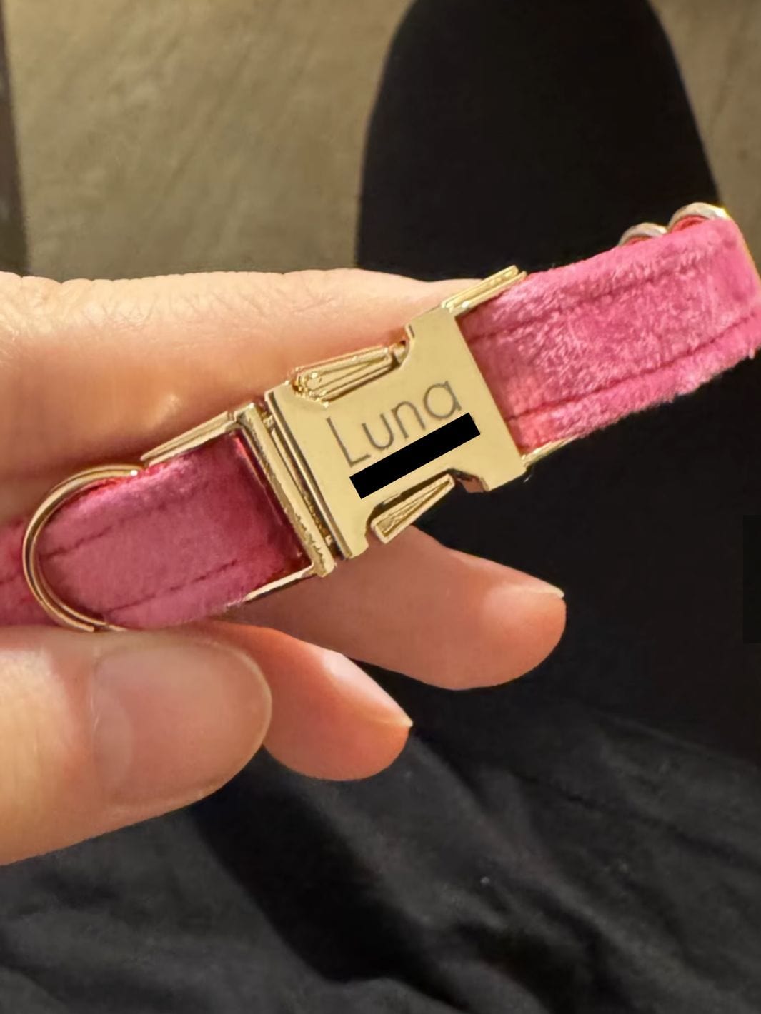 Un collier en velours rose personnalisé avec le prénom du chat