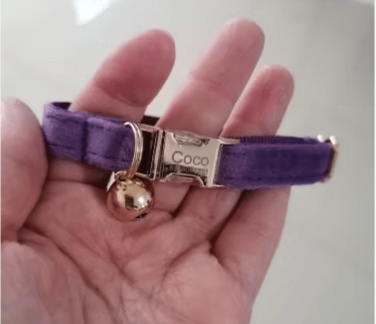 Collier pour chat violet en velours avec une clochette et le nom et le numéo de téléphone gravés