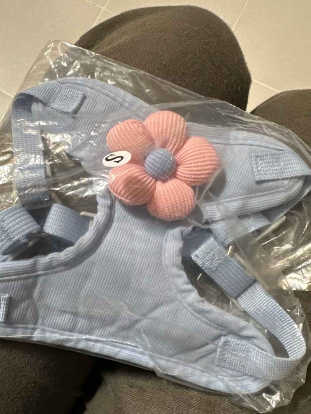 Un chat noir et blanc portant un collier pour chat rose avec une fleur