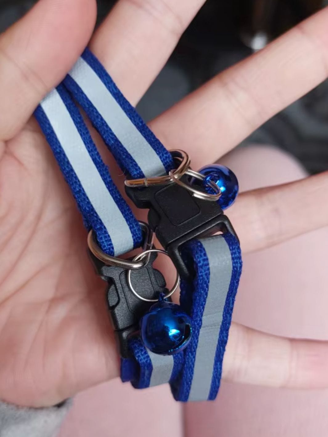 Deux colliers pour chat réfléchissants bleus avec une clochette bleu amovible