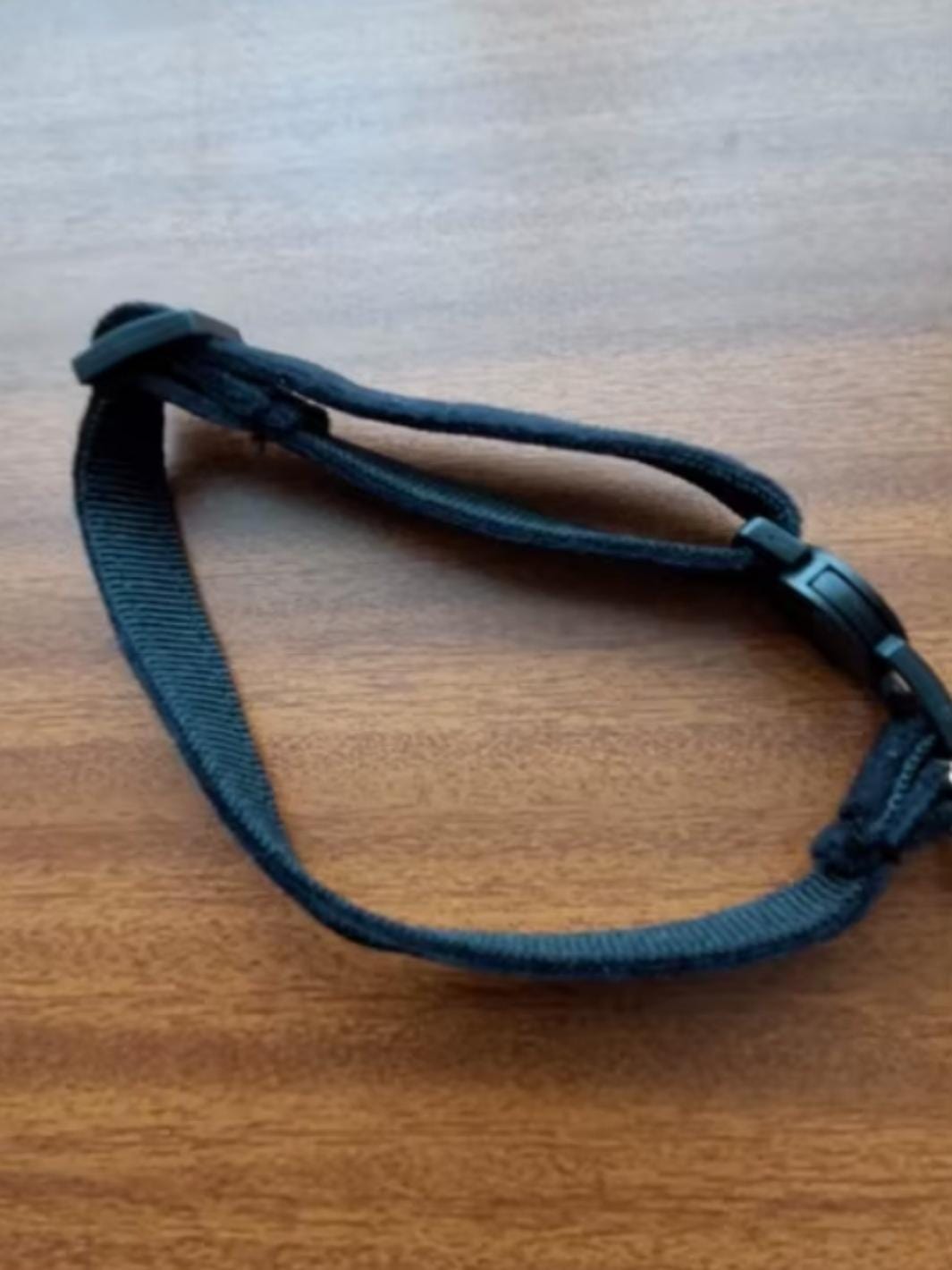 Un chat noir portant un collier réfléchissant violet