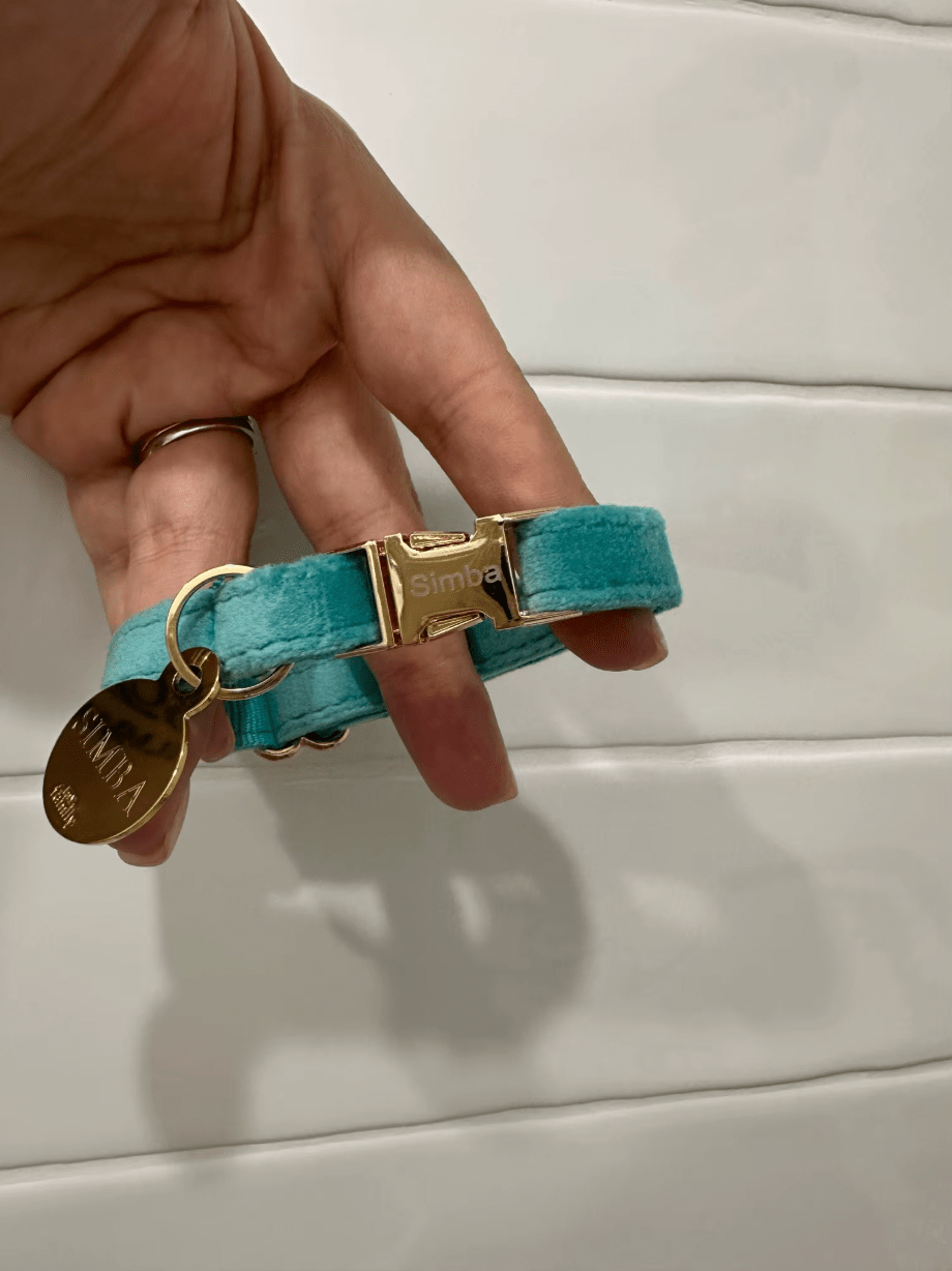 Deux colliers pour chats en velours avec une clochette et le nom gravé dessus