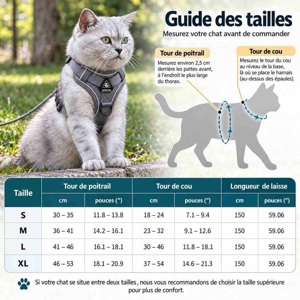 le guide des tailles de l'harnais pour chat réfléchissant bleu