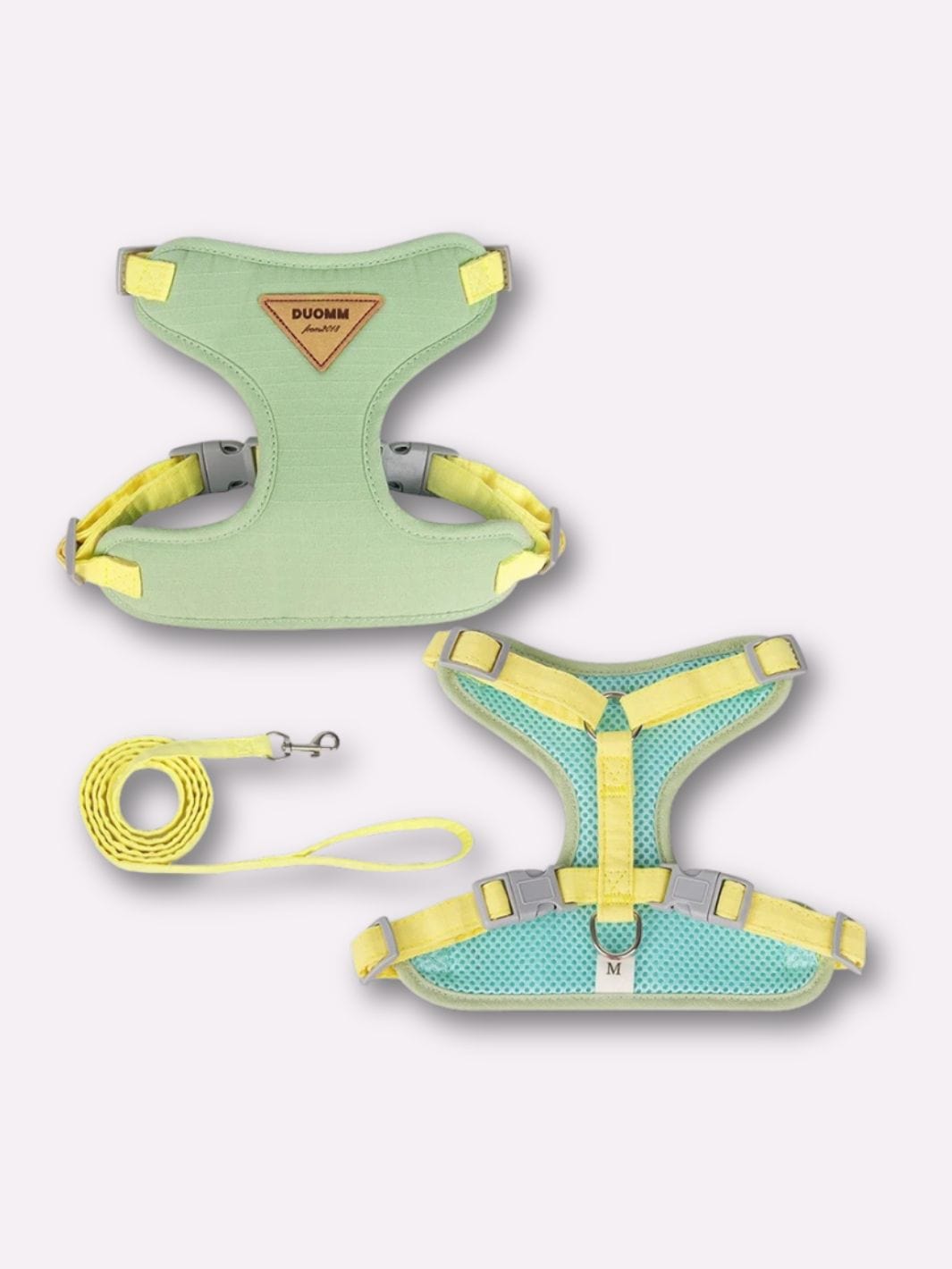 Harnais pour Chat Adulte