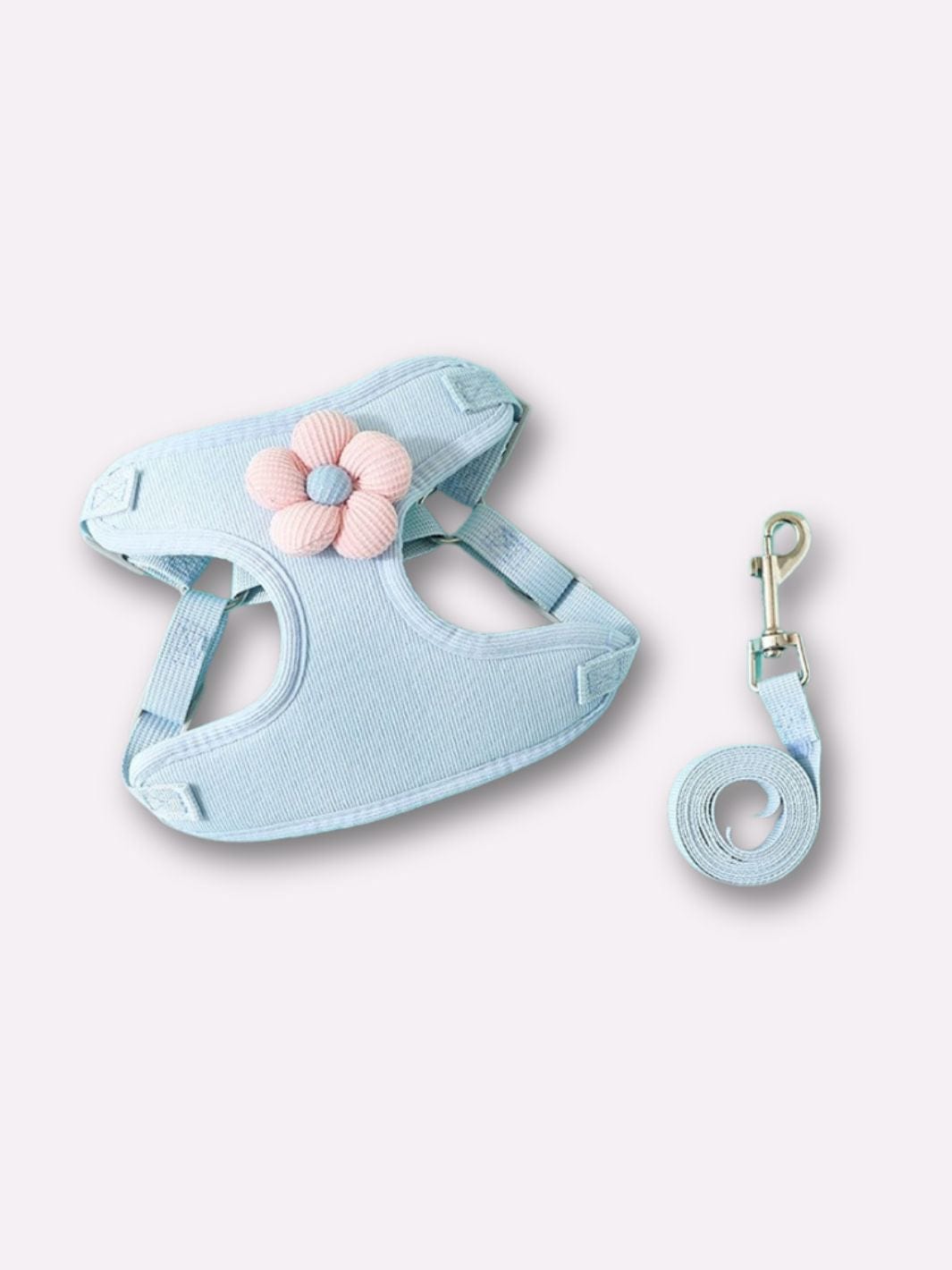 Harnais pour Chat Bleu avec une fleur rose