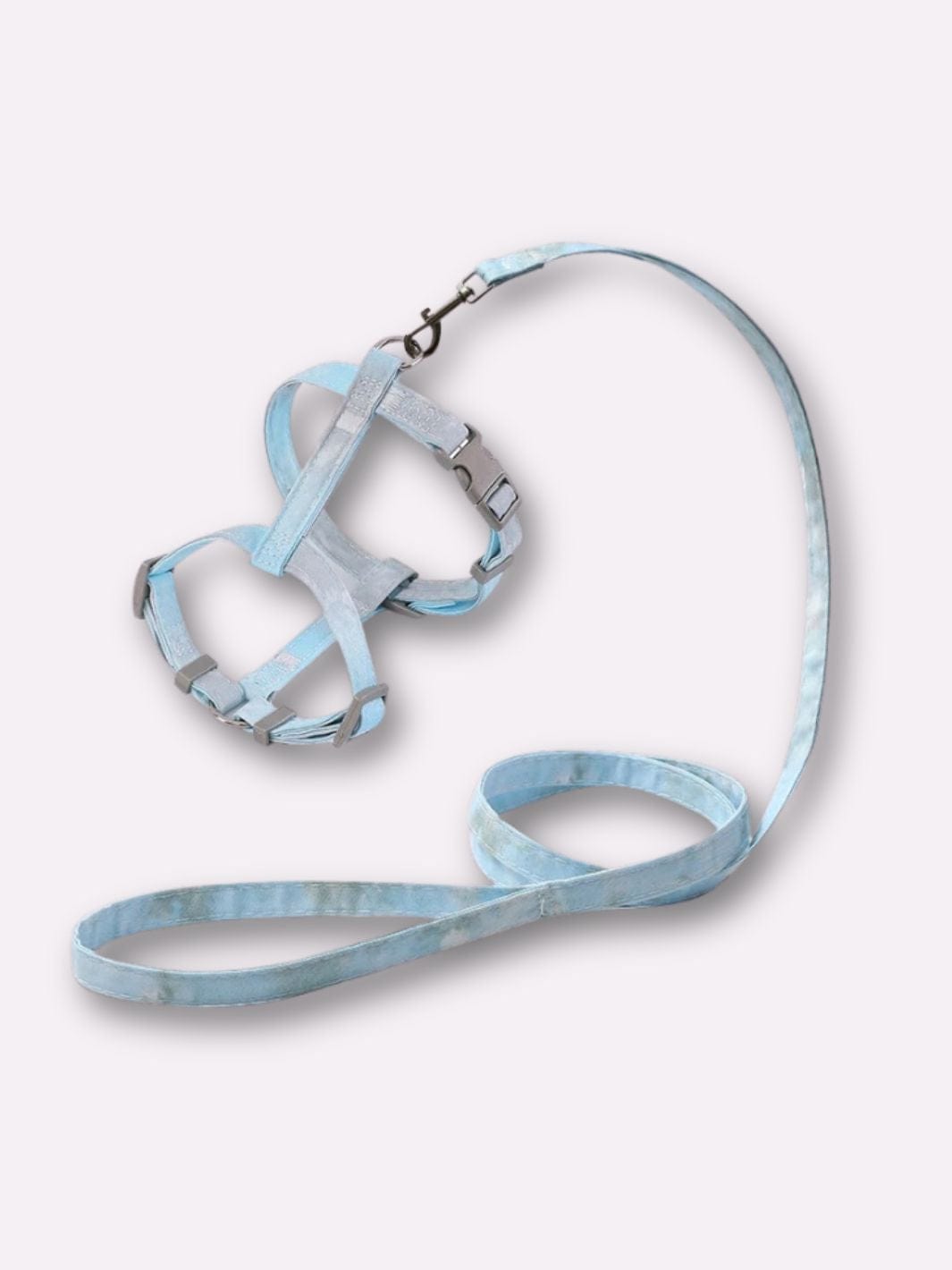 Laisse et Harnais pour Chat Bleu & Gris / M