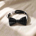 Un collier nœud papillon pour chat anti-étranglement noir