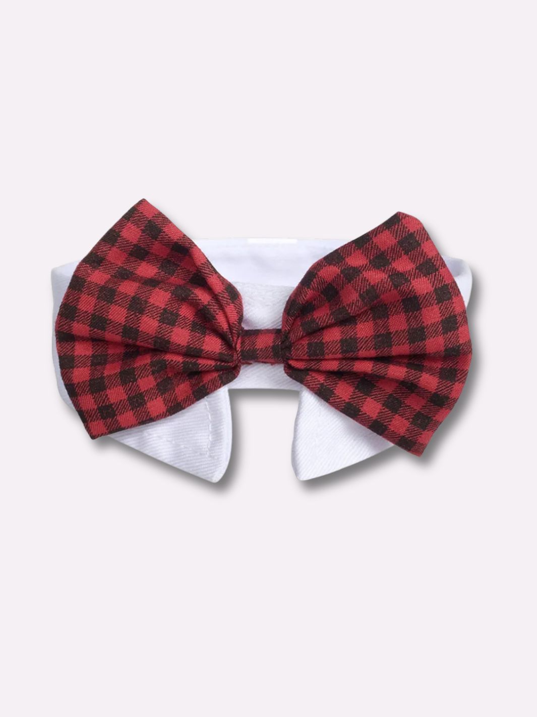 Un noeud papillon pour chien quadrillé rouge et noir sur un fond clair