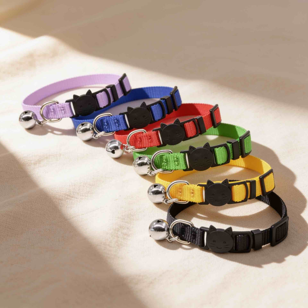 Collier personnalisable anti-étranglement pour chat